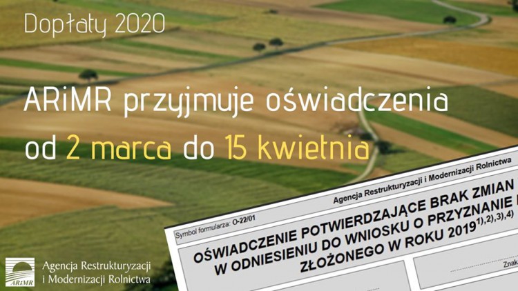 ARIMR wnioski