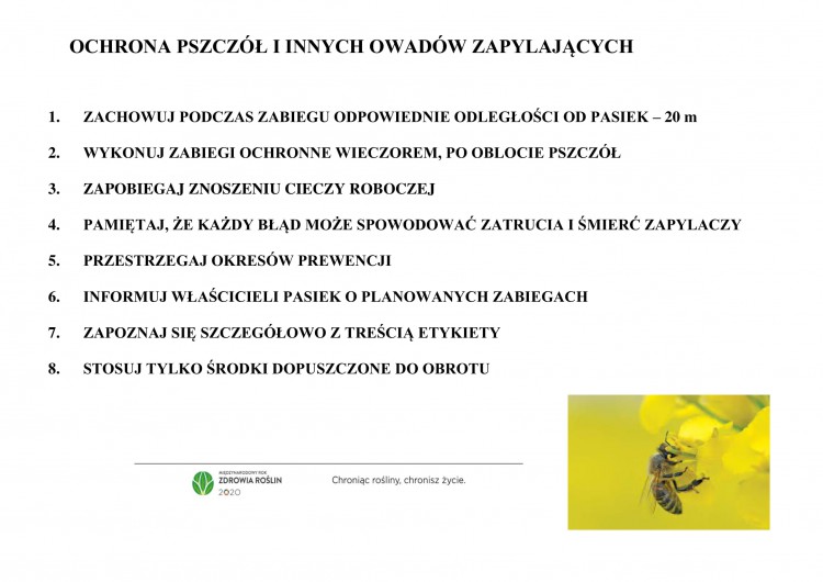 pszczoły-1