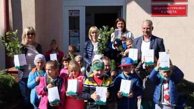 Sosenka dla przedszkolaka