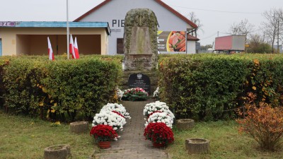 Pozyskaliśmy chryzantemy doniczkowe