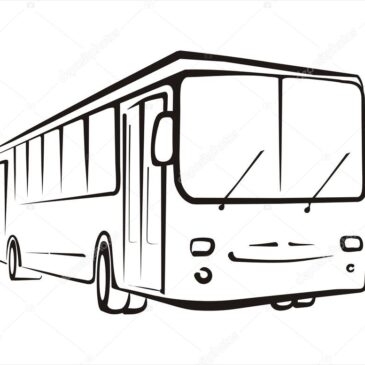 Nowe linie autobusowe ruszyły!