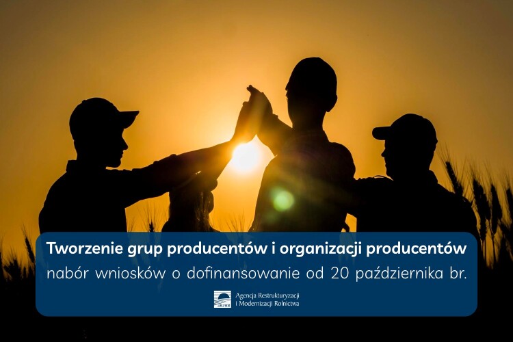 ARiMR ogłosiła nabór wniosków na „Tworzenie grup producentów i organizacji producentów”-1