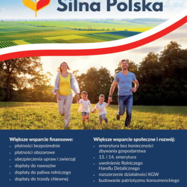 Silna wieś, Silna Polska
