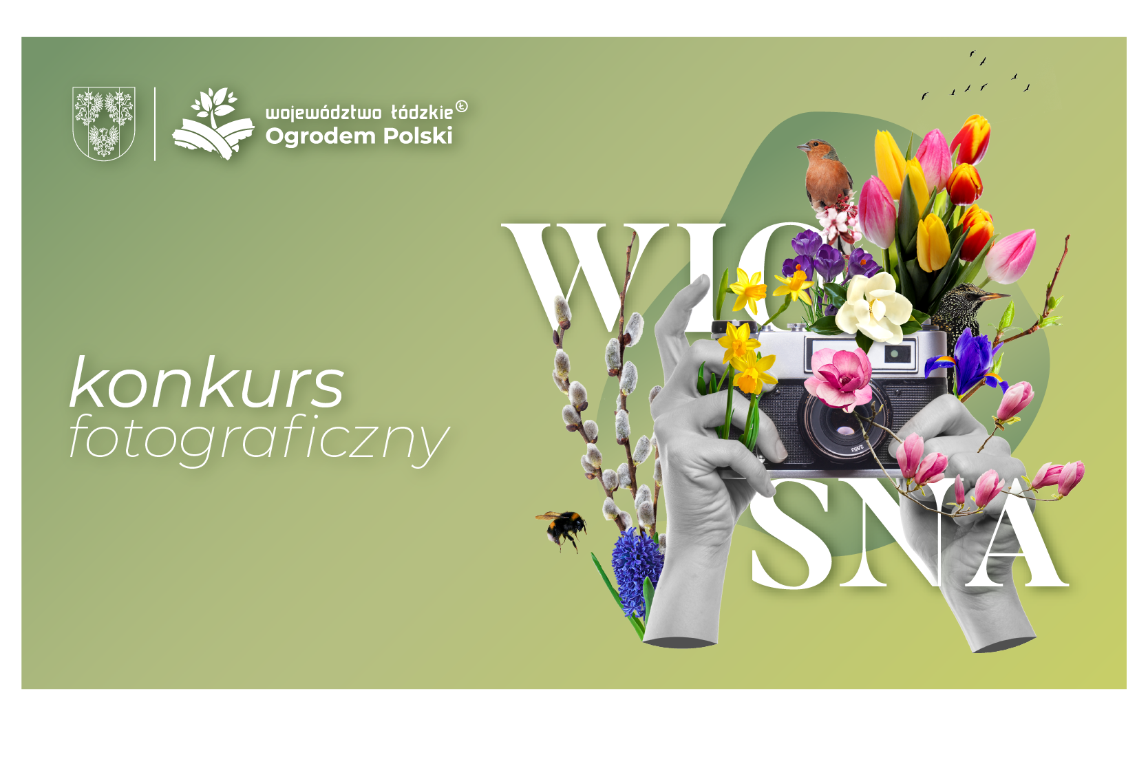 Konkurs fotograficzny WIOSNA_aktualnosci lodzkie 800x534