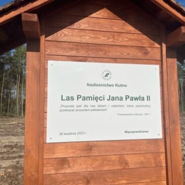 #ŁącząNasDrzewa