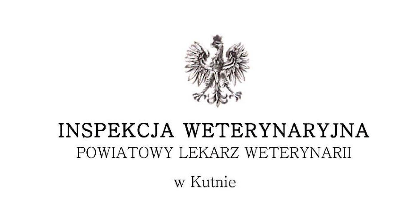 Grafika