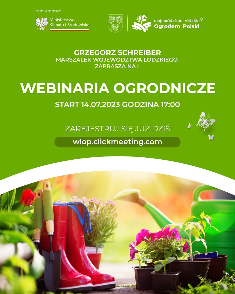 Webinaria 800x1000 FB Pion