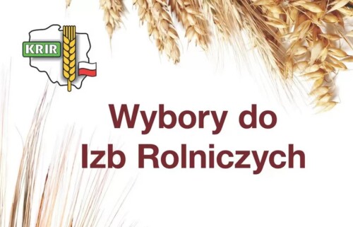 Obwieszczenie Komisji Okręgowej w Łaniętach z dnia 8.09.2023