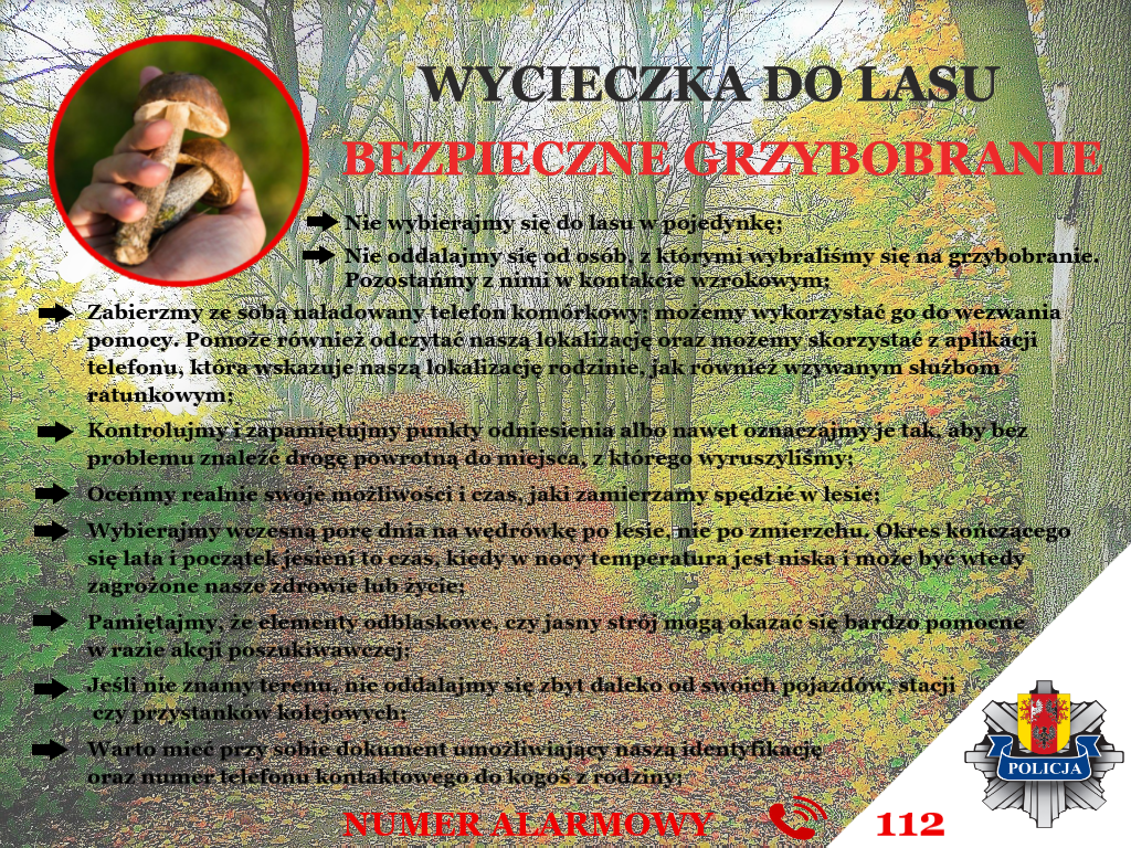 GRZYBOBRANIE 1
