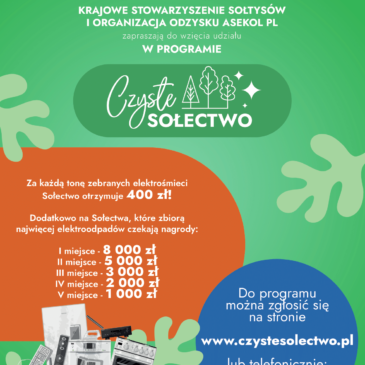 Program „Czyste Sołectwo”