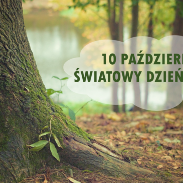 1️⃣0️⃣ października – Światowy Dzień Drzewa