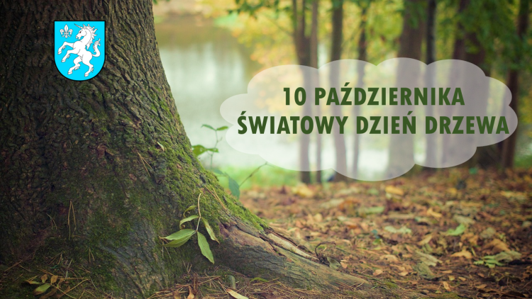 ŚWIATOWY DZIEN DRZEWA