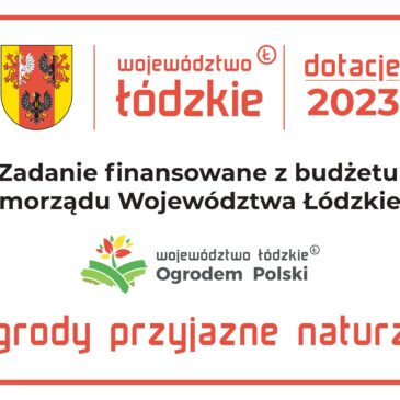 Klonowy zakątek w Gminie Łanięta