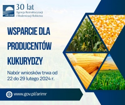 Wsparcie dla producentów kukurydzy