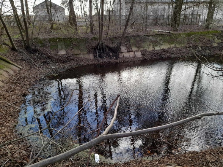 zdjęcie nr 3