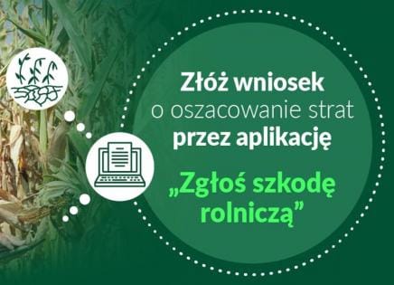 Aplikacja suszowa