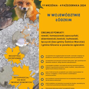 Jesienna akcja szczepienia lisów przeciwko wściekliźnie