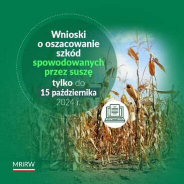 Wnioski o oszacowanie szkód spowodowanych przez suszę – do 15 października