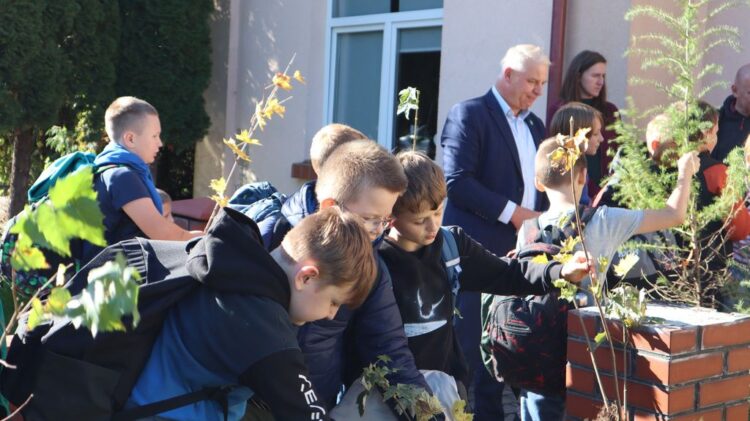 Światowy Dzień Drzewa w Gminie Łanięta!