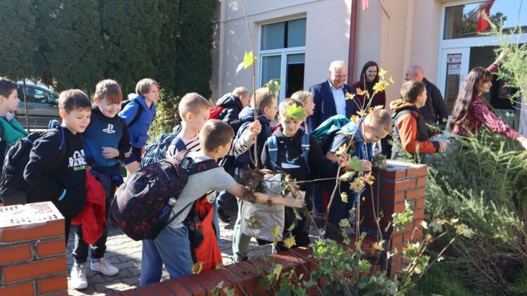 Światowy Dzień Drzewa w Gminie Łanięta!