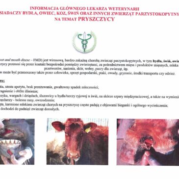 Informacja Powiatowego Lekarza Weterynarii w Kutnie