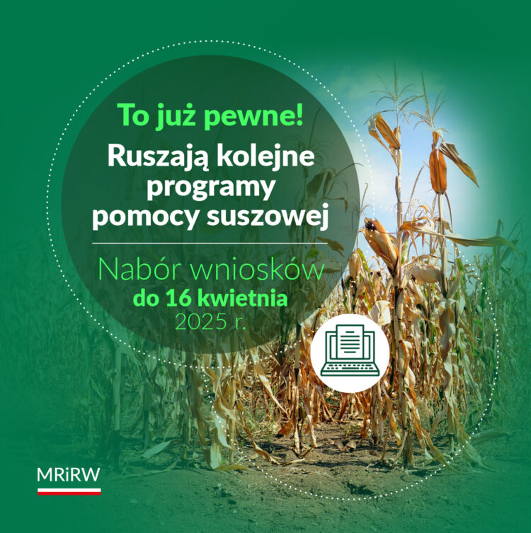 To już pewne! Ruszają kolejne programy pomocy suszowej