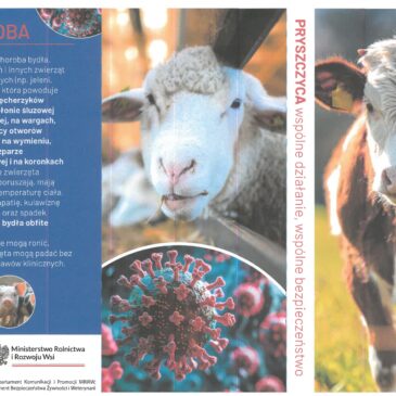 PRYSZCZYCA – informacje