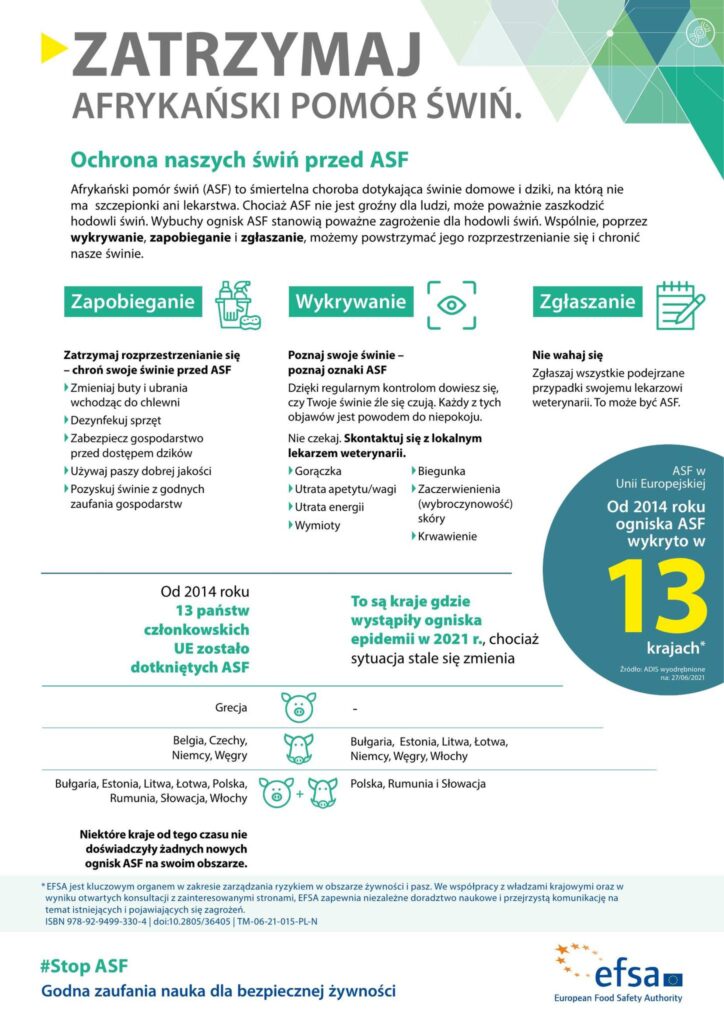 ASF - Afrykański pomór świń