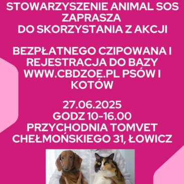 Zaproszenie