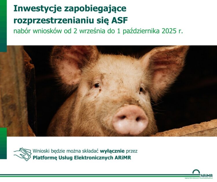 UWAGA! NABÓR WNIOSKÓW ROZPOCZNIE SIĘ 2 WRZEŚNIA
