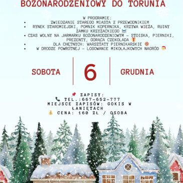 Ruszamy na świąteczną wyprawę do Torunia!