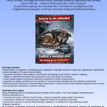 Apel ws. ochrony zwierząt w czasie mrozów.